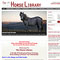 Web Design Examples